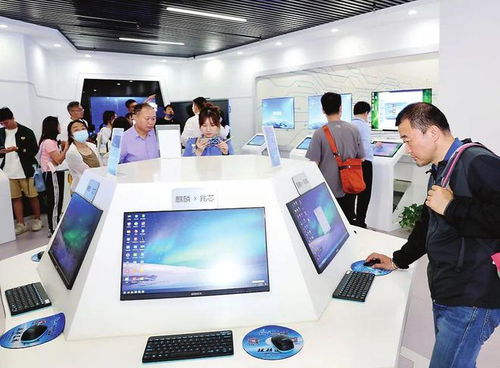 種好梧桐樹，引得鳳凰來(lái) 以軟件開發(fā)與信息技術(shù)咨詢服務(wù)為核心，打造總部經(jīng)濟(jì)新高地
